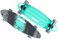 Круизер Tech Team Fishboard 31 - 2023 Mint