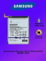 Аккумулятор Samsung EB-BM317ABY M31S