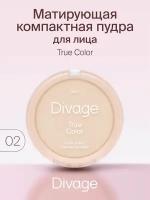 Divage Пудра компактная True Color, Тон 02 ivory