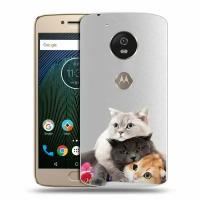 Полупрозрачный дизайнерский силиконовый чехол для Моторола Мото Ж5с / Motorola Moto G5s Кошки