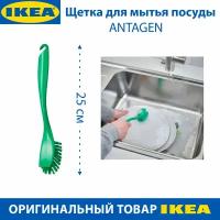 Щетка для мытья посуды IKEA ANTAGEN (антаген), из пластика, 25 см, цвет зеленый, 1 шт