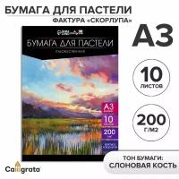 Бумага для пастели в папке А3 10л 200г/м2 тон.бум.,слон.кость, гознак,Скорлупа 9699617