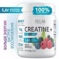 SOLAB Креатин моногидрат порошок 30 порций, Creatine Monohydrate, вкус лесные ягоды, 200 гр спортивное питание