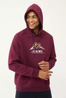 Толстовка утепленная Bilcee Men's Hooded Sweatshirt для мужчин TB23ML11W1598-1-1402 M