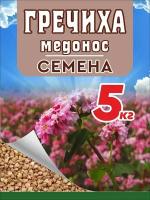 Гречиха семена сидерат, для посева 5 кг