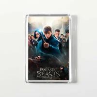 Магнит акриловый Фантастические твари, Fantastic Beasts №1