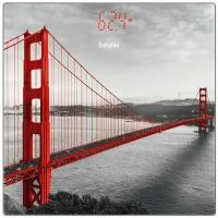 Напольные весы Beurer GS215 San Francisco