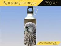 Бутылка фляга для воды "Сокол, молодой сокол, хищные птицы" 750 мл. с карабином и принтом
