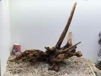 Декор аквариумный коряга коралловое дерево 40-80 см 001