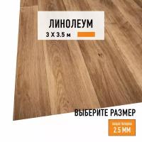 Линолеум для пола на отрез 3х3,5 м LEVMA HOME 01, бытовой, 21 класс, 4828332-3х3,5