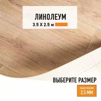 Линолеум для пола на отрез 3,5х2,5 м LEVMA HOME 02, бытовой, 21 класс, 4826212-3,5х2,5