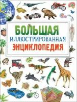 Большая иллюстрированная энциклопедия (нов.) (Бромаж Ф.)