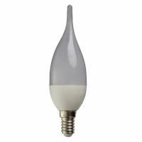 Светодиодная лампа HOROZ ELECTRIC 10 Вт Е14/B на ветру теплый свет
