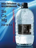 "Вода с селеном" - питьевая, негазированная, 2 бутылки по 5 литров