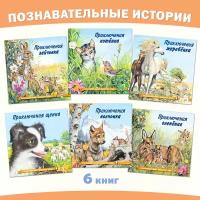 Сказки для детей Издательство Фламинго Познаем мир вокруг нас Комплект из 6 книг Приключения волчонка, зайчонка, котенка, жеребенка, олененка, щенка