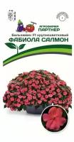 Семена Бальзамина Уоллера крупноцветкового "Фабиола сальмон" F1 (5 семян)
