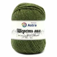 Пряжа для вязания Astra Premium 'Шерсть яка' (Yak wool), 100 г, 120 м (+/-5%) (25% шерсть яка, 50% шерсть, 25% фибра) (24 зеленый мох), 2 мотка