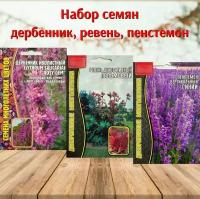 Семена многолетних цветов для сада Дербенник, Пенстемон, Ревень. Набор 3 упаковки