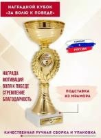 Кубок для награждения спортивный "За волю к победе!", с гравировкой, SPORT PODAROK