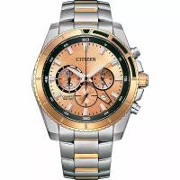 Наручные часы CITIZEN Basic AN8204-59X