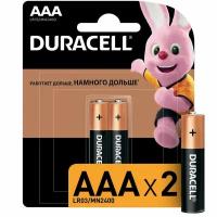 Батарейка DURACELL BASIC ААA/LR03-2BL