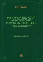 Клиническая анатомия органа зрения человека