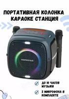 Портативная Bluetooth Колонка Hopestar Party One 80 Вт, с двумя беспроводными микрофонами/без штатива/портативная акустика /блютуз колонка (черный)