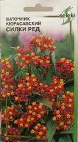 Ваточник Кюрасавский Силки Ред, многолетнее вечнозеленое комнатное растение с необычными прекрасными соцветиями, в саду как однолетник, 14 шт семян