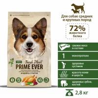 Prime Ever Fresh Meat Adult Dog Medium&Maxi-Сухой корм для взрослых собак средних и крупных пород индейка с рисом, полнорационный,, 2,8 кг