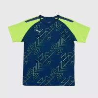 Футболка тренировочная Puma teamLIGA Graphic Jersey Jr