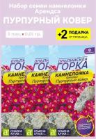 Семена Камнеломка "Пурпурный ковер", 3 упаковки + 2 Подарка