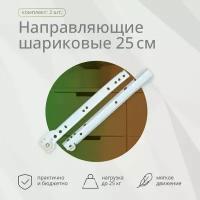 Роликовые направляющие 250мм белые