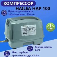 Компрессор воздушный HAILEA HAP 100 бесшумный. Для аквариума, пруда, септика, коптилен, гидропонный систем