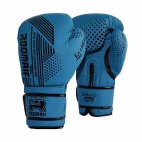 Боксерские перчатки RBG-335 Dх Blue 8 oz