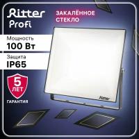 Прожектор светодиодный PROFI 100Вт, 180-240В, IP65, 6500К, 10000Лм, черный, Ritter, 53410 9