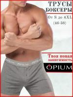 Мужские трусы-шорты с пуговицей серые Opium Boxer R31 XXXXL (58)