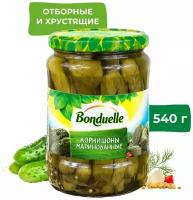 Корнишоны Bonduelle Expert маринованные 580мл