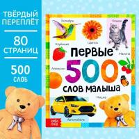 Книга детская "Первые 500 слов малыша", 80 стр