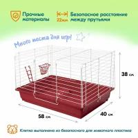 Клетка для кроликов, 58 х 40 х 38см, для морских свинок PetTails, №2 большая, складная, шаг прута 22мм, (укомпл), рубин/бел