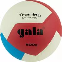 Мяч волейбольный GALA Training Heavy 12, BV5475S, р.5
