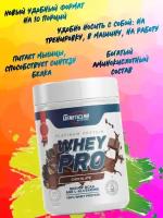 Сывороточный протеин Whey Pro 300 gr Шоколад