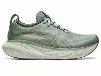 Беговые кроссовки Asics Gel-Nimbus 25 Slate Grey/Champagne (US:7,5)