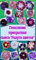 Глоксиния прекрасная смесь "Радуга цветов" 10 семян