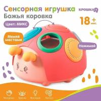 Развивающая, сенсорная игрушка «Божья коровка», цвет микс, Крошка Я