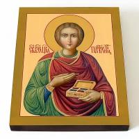 Великомученик и целитель Пантелеимон (лик № 006), икона на доске 13*16,5 см