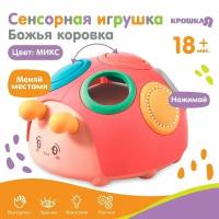 Развивающая сенсорная игрушка крошка Я Божья коровка цвет микс 9599477