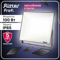 Светодиодный прожектор RITTER серия PROFI 230В 100 Вт 4000К 10000Лм IP65 черный 53419 2