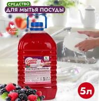 Средство для мытья посуды Greeny Light Лесные ягоды, 5 л Clean&Green CG8168