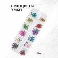 Набор сухоцветов YMMY Professional, 12 шт