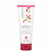 Andalou Naturals, Body Lotion, Soothing, 1000 Roses, 8 fl oz (236 ml)